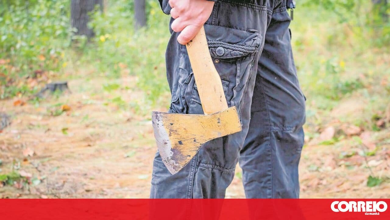 Man claims he was being targeted for murder to justify axe attack on stranger