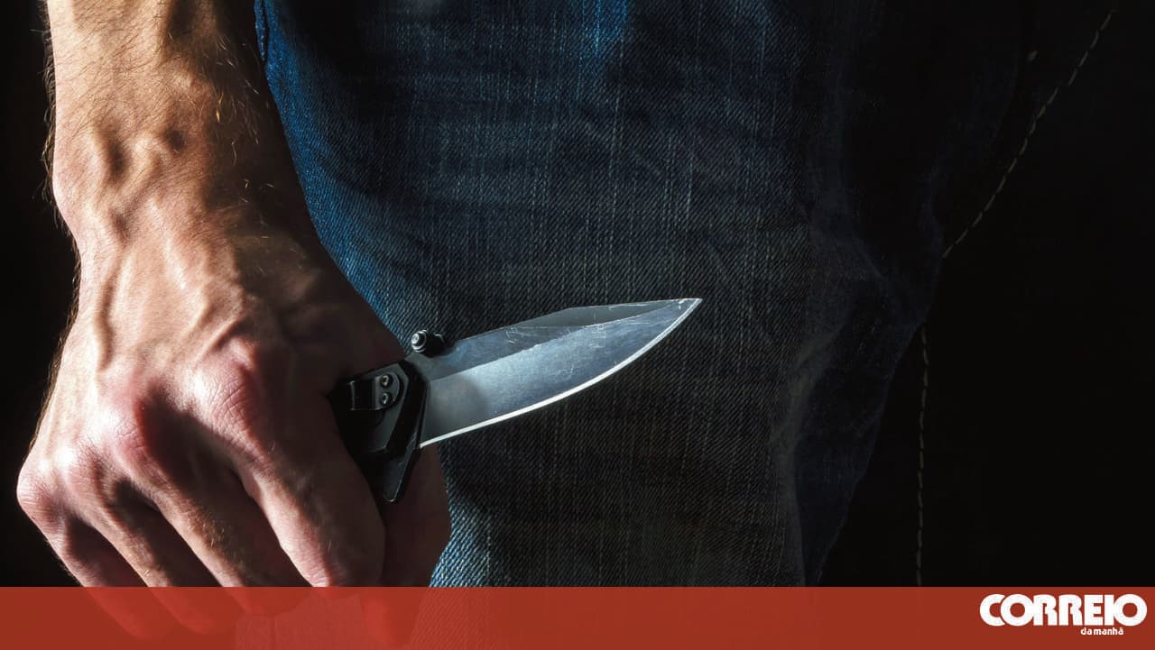 Gang of thieves travelled by train to spread panic in Lisbon