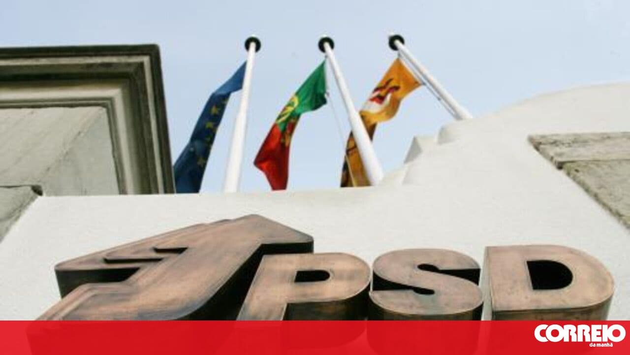 PSD marks Europe Day with training initiative for young people featuring the Prime Minister and several ministers