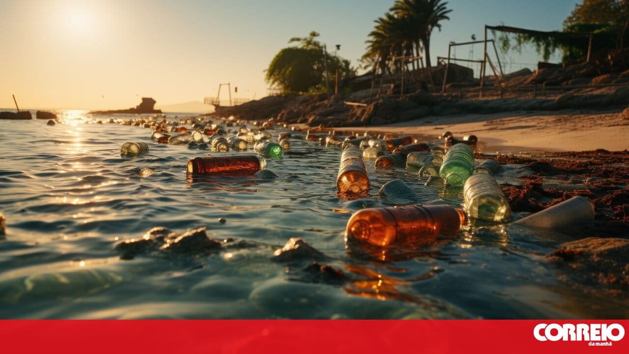Environment Agency warns of the urgency of proper waste separation in summer