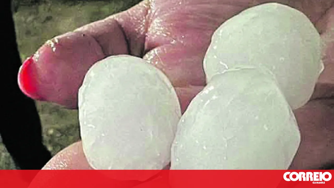 IPMA explains that the weather phenomenon that caused damage in Aveiro resulted from a 'downburst'