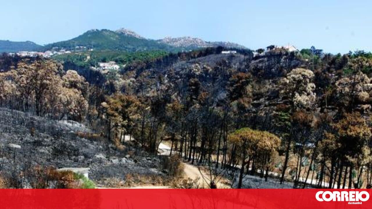 Sintra restricts traffic in the mountains and Monte da Lua closes monuments due to fire risk