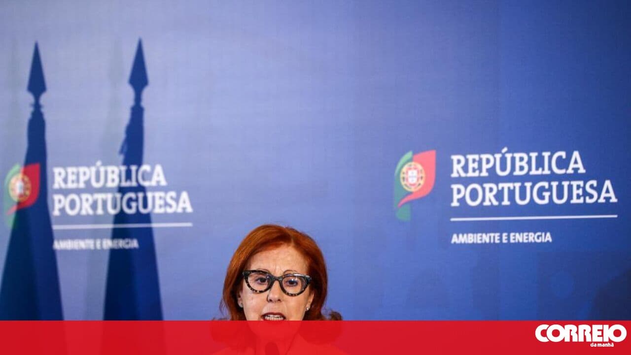 Minister of Environment reaffirms targeted aid for "the most vulnerable" to deal with energy crisis