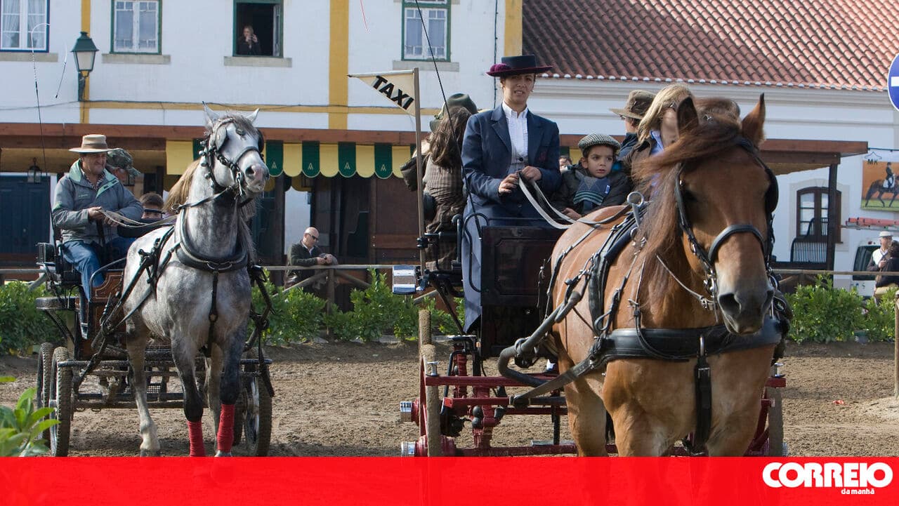 Expoégua kicks off this Thursday in Golegã with equestrian events, gastronomy, and wine