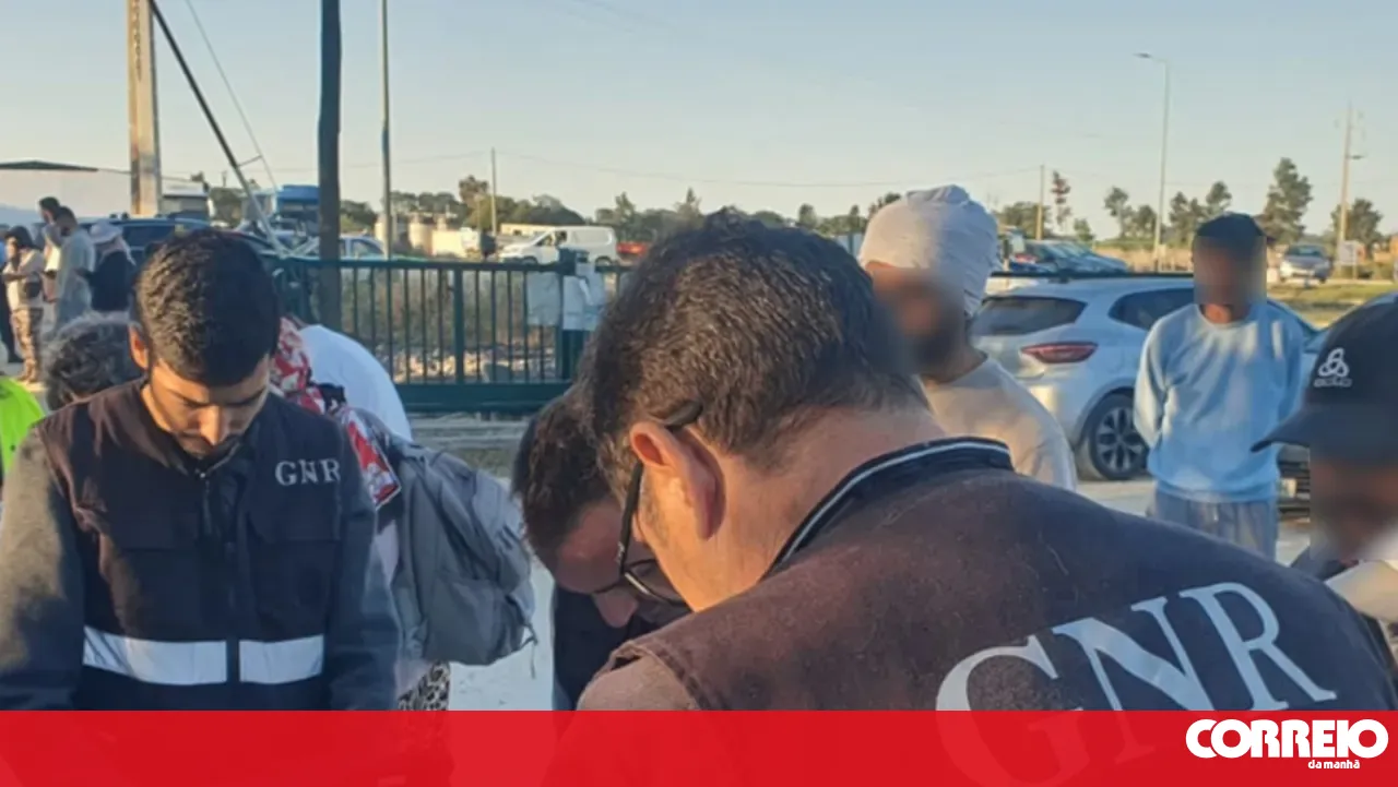 Group that assaulted two men at the Benavente festivities must report weekly to authorities
