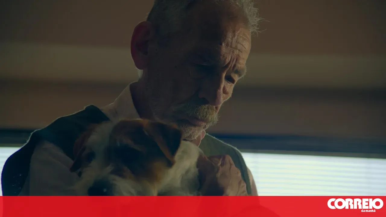 Portugal submits film 'The Memory of the Smell of Things' for Oscar consideration