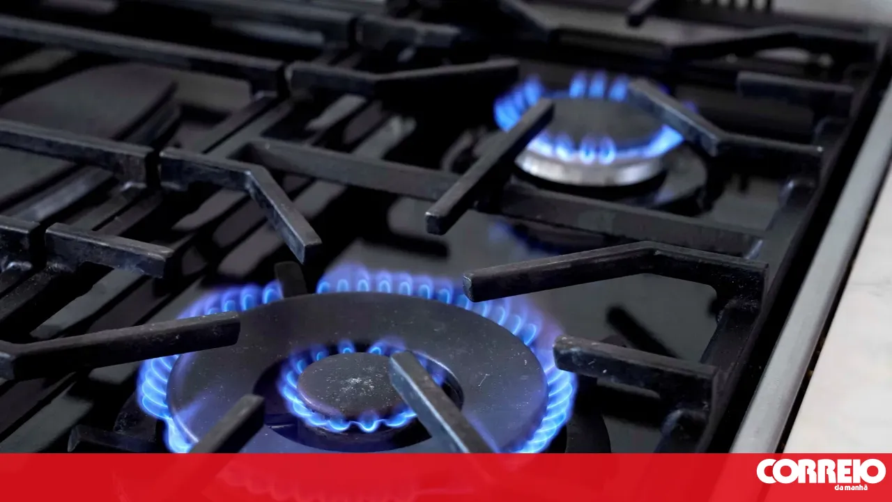 Government says Portugal is "robust" in energy supply but exposed to prices