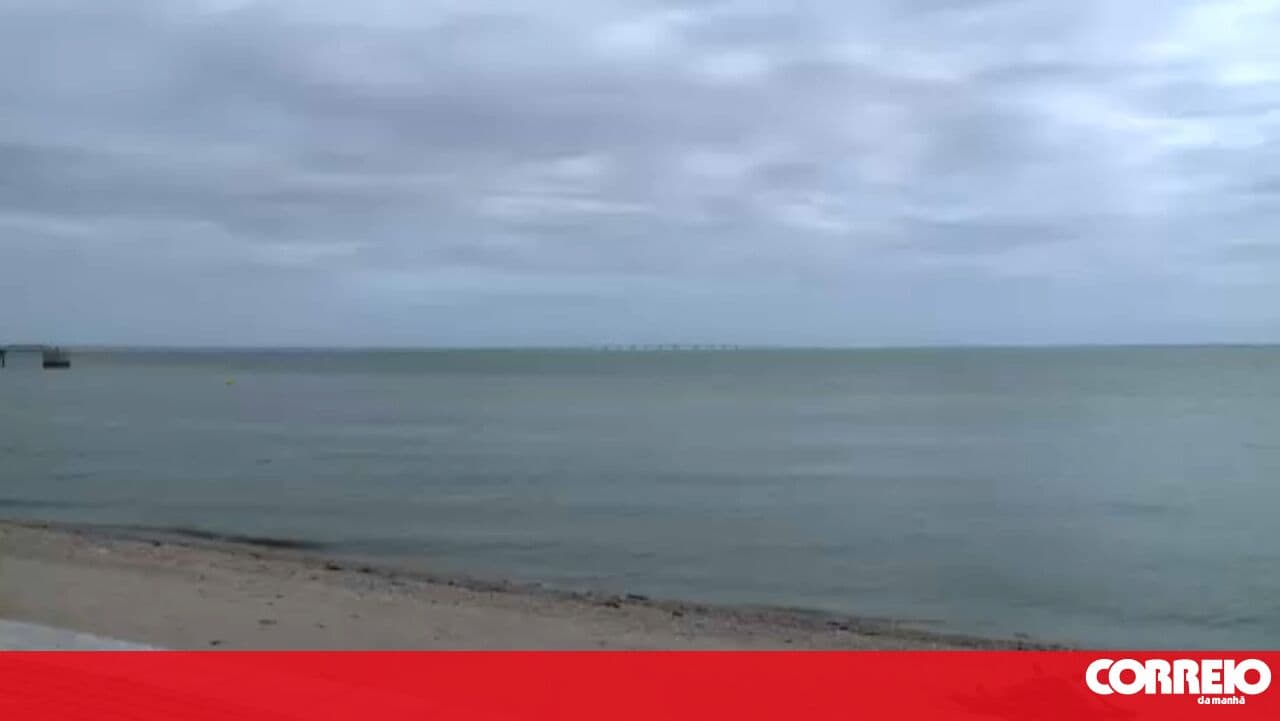 Movement denounces resurgence of pollution in the Tagus and demands urgent measures