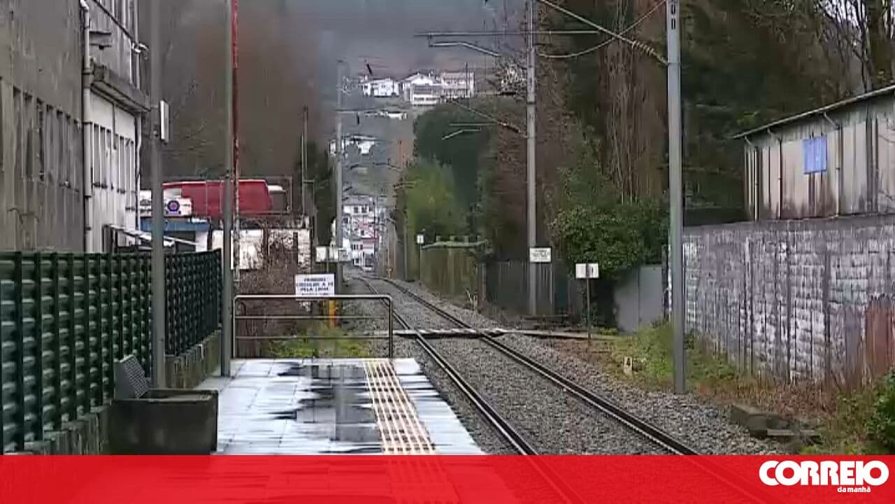 Resumption of rail services on the Minho Line suspended after a tree fell