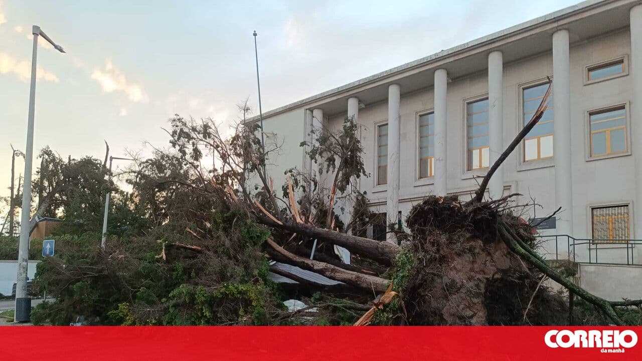 Mayor of Figueiró dos Vinhos asks for help and a declaration of calamity over Storm Kristin