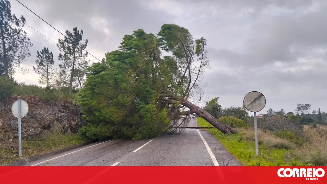 IP to invest 18.3 million euros in the recovery of roads affected by bad weather in Santarém