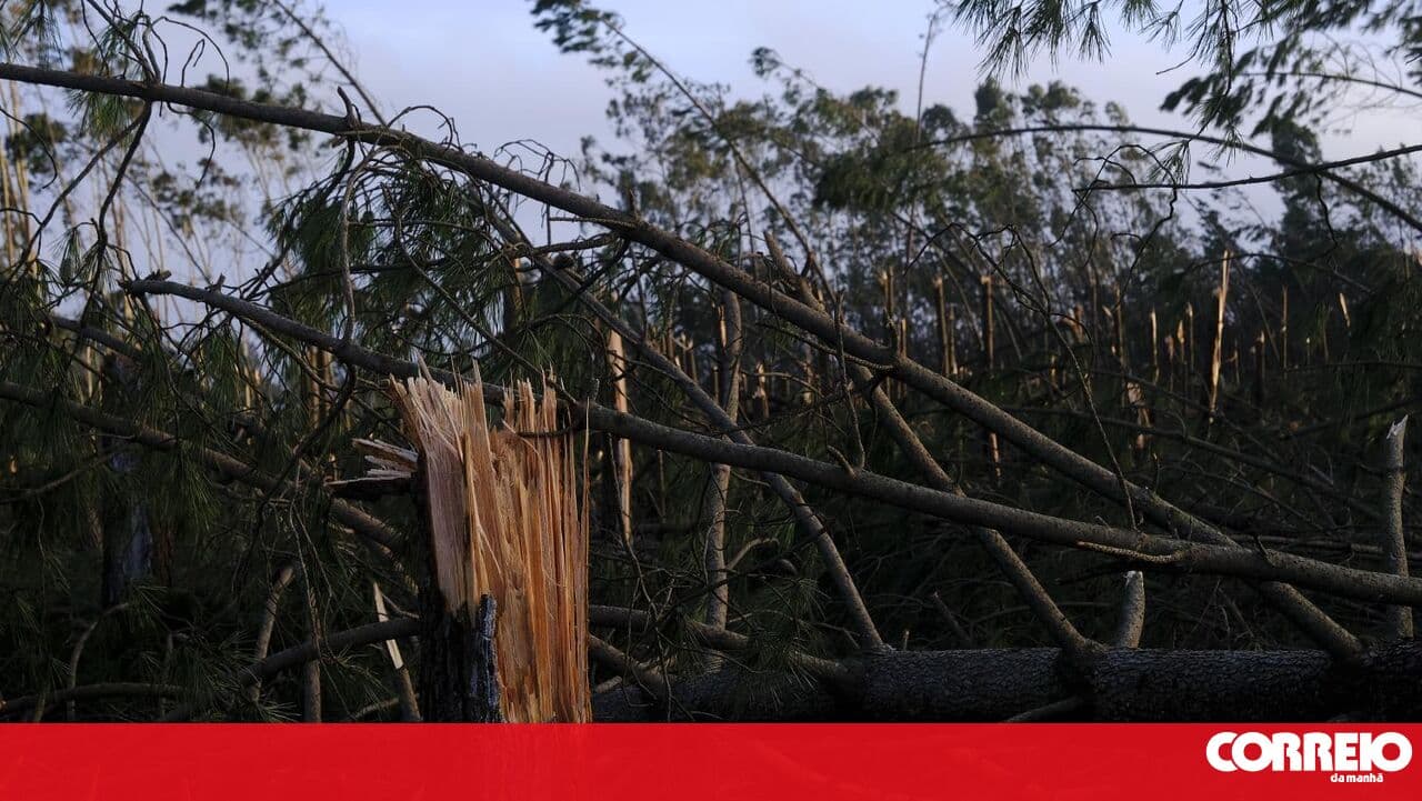 Water shortage in Marinha Grande caused by theft of electrical cables