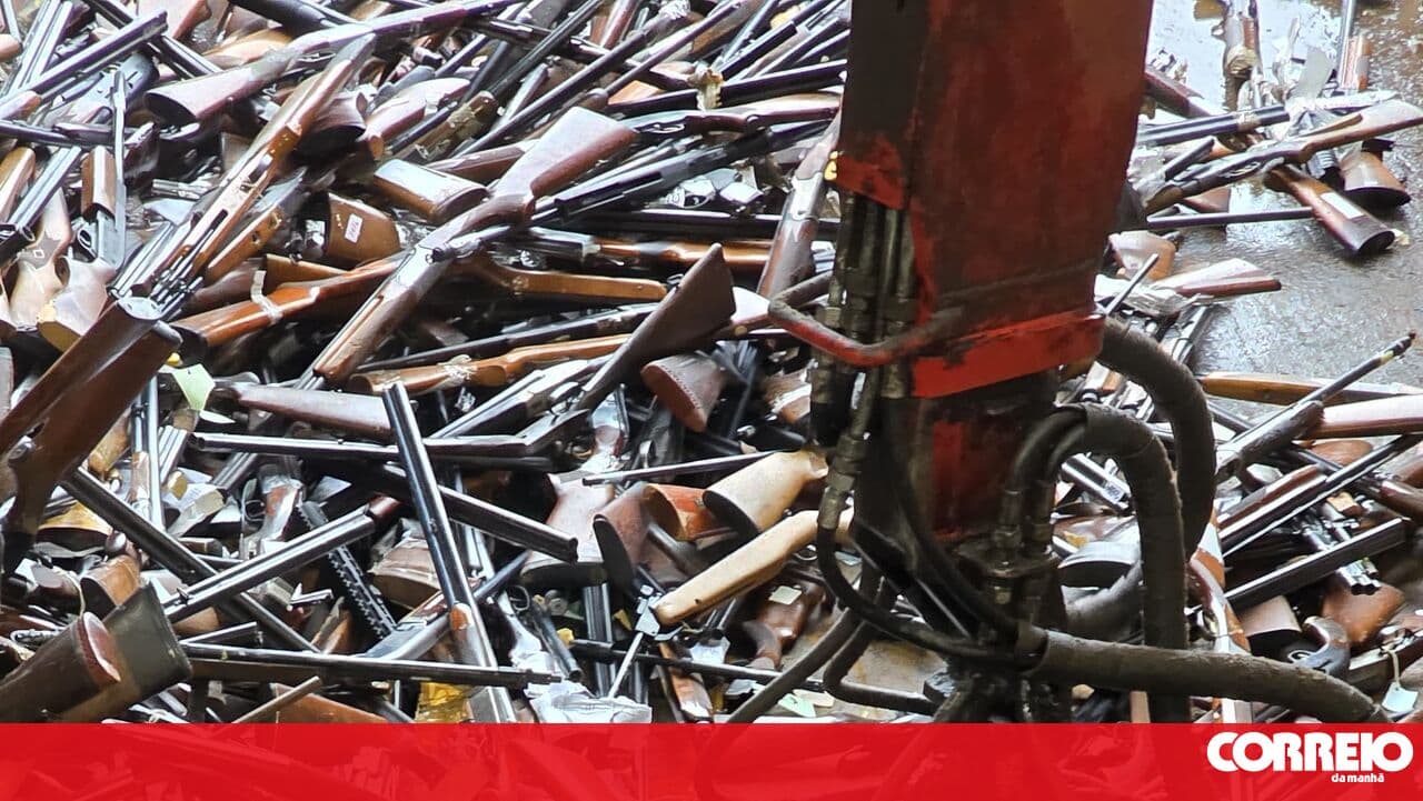 PSP destroys almost 7,000 weapons in Maia
