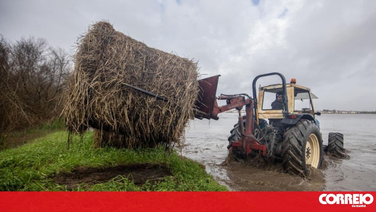 Water levels in the Mondego 'stable and under control'