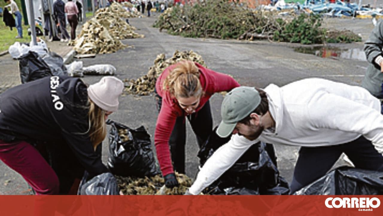 600 volunteers take part in Leiria clean-up