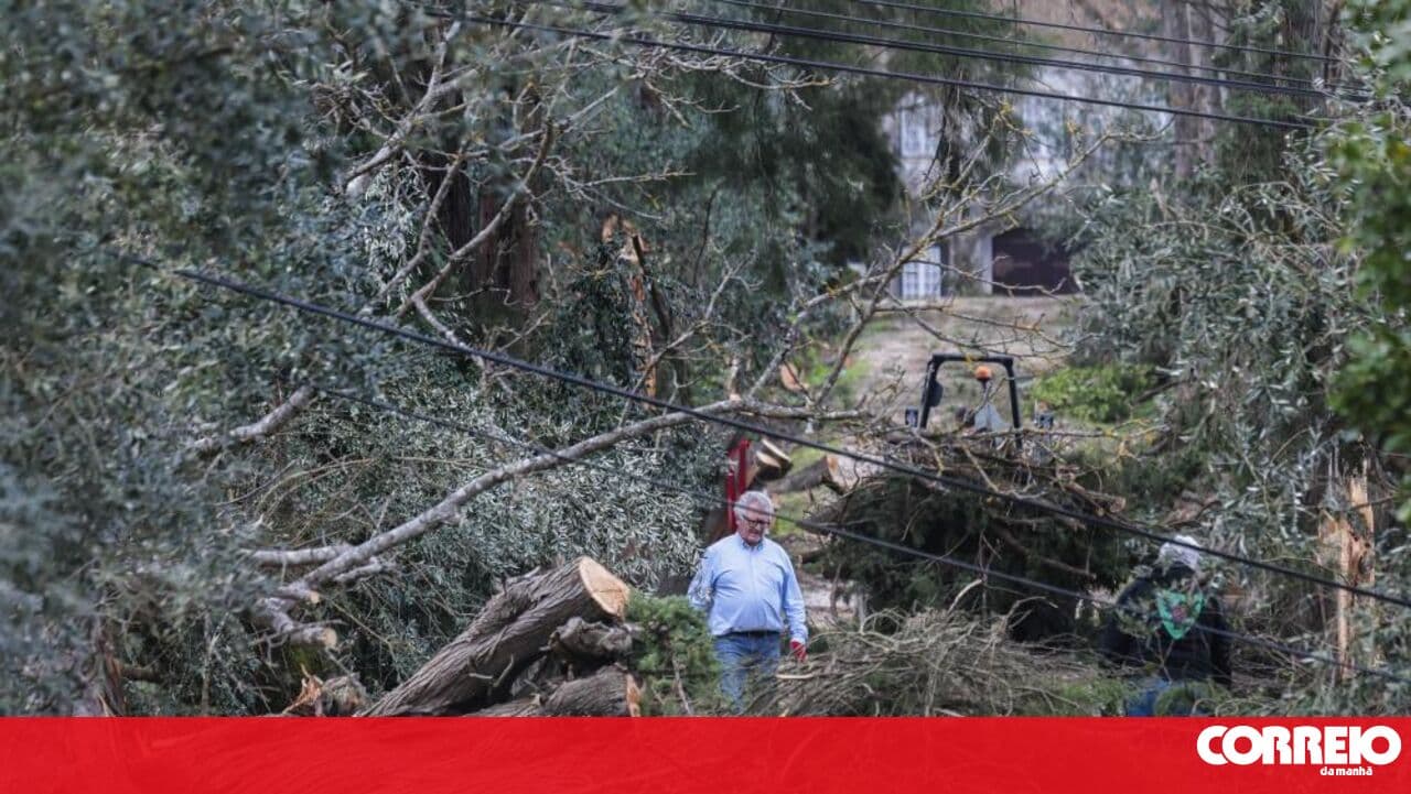 Emigrants return to Ourém to repair damage caused by bad weather