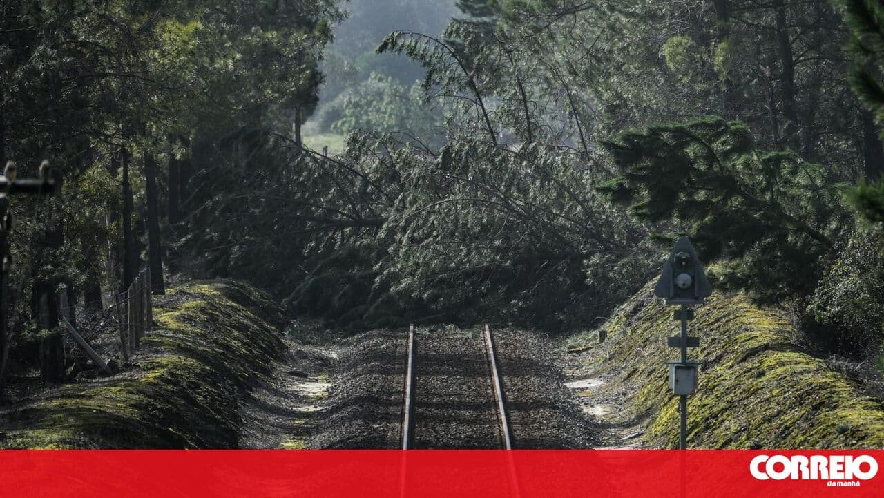 'It sounded like a man screaming': Storm Kristin left Ferreira do Zêzere with significant damage