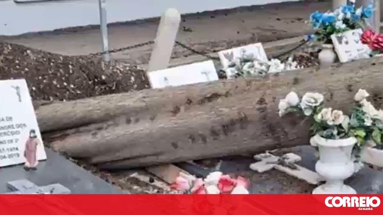 Falling trees destroy Alverca do Ribatejo cemetery; staff and local residents concerned