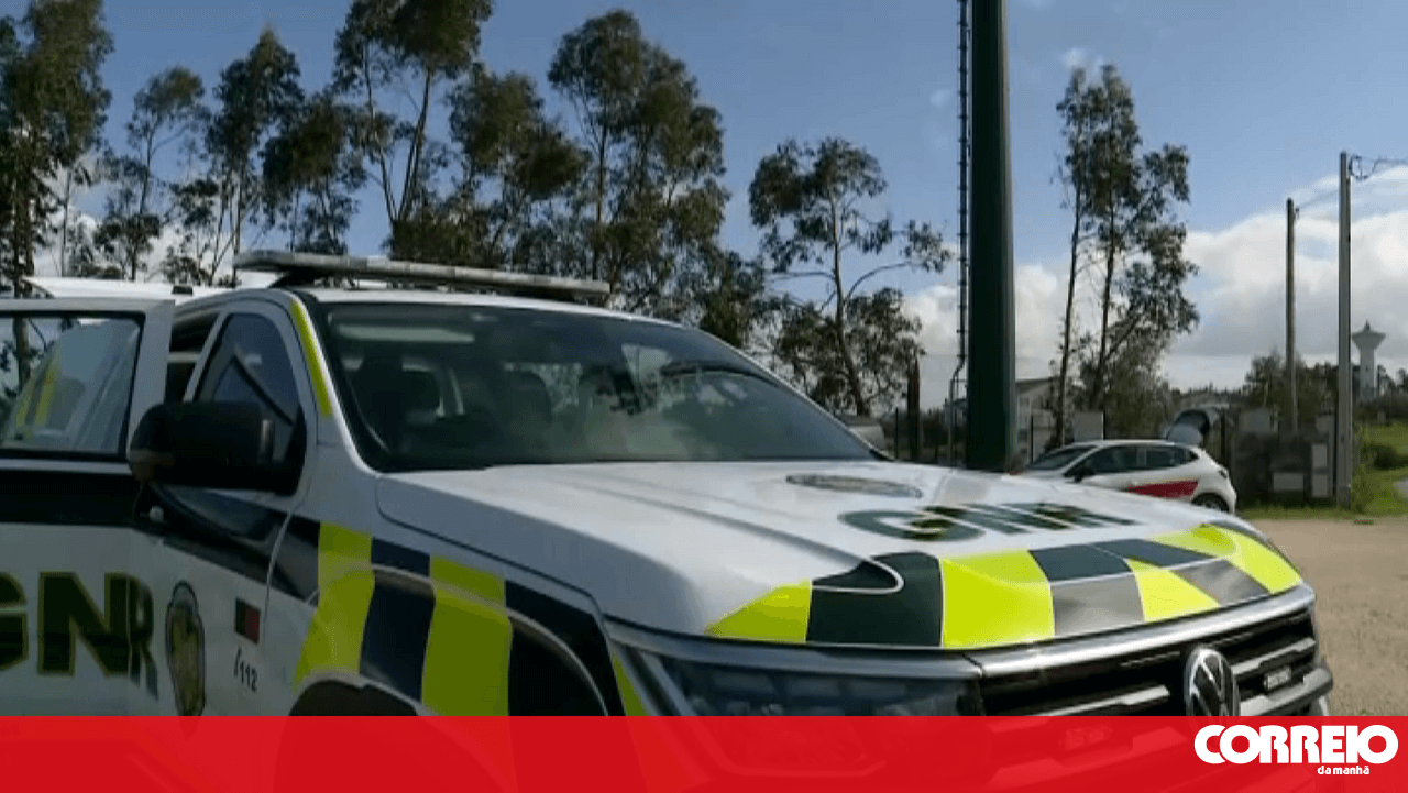Five arrested in operation that seized tobacco and goods valued at over 800,000 euros