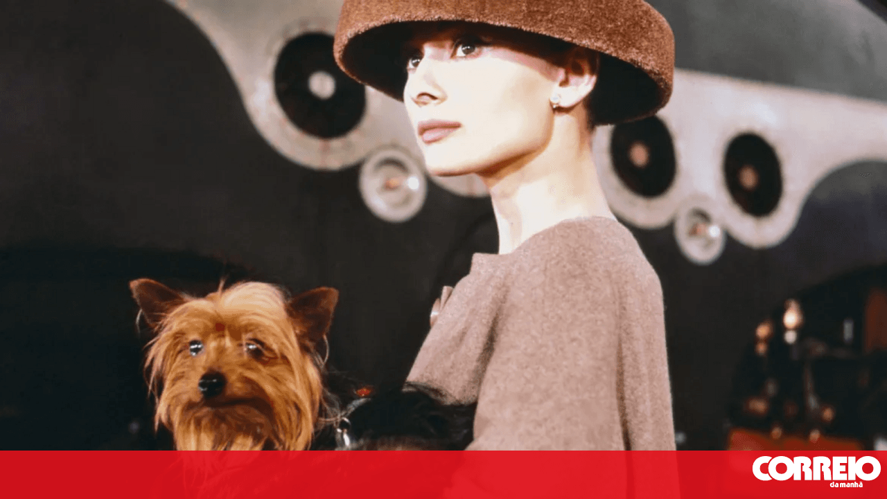 Is having a dog good for the heart? Science explains