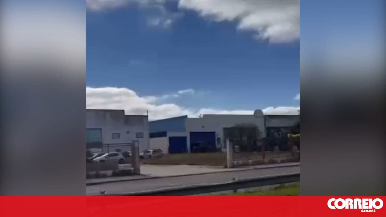 Bull on the loose causes panic in Benavente