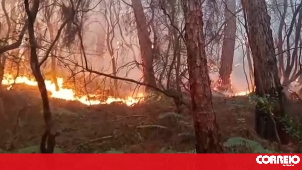 Man sets forest fire and gets trapped in his home in Paredes