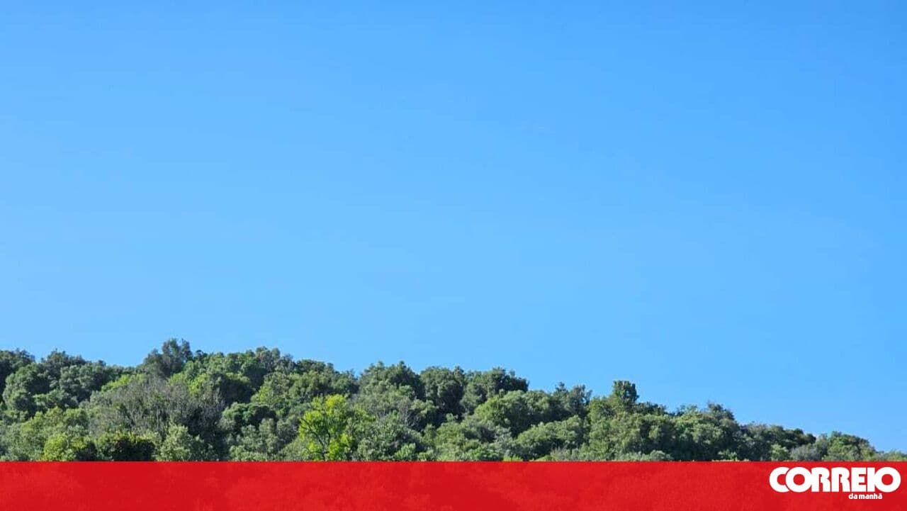 Car hit by train in Portimão. One dead and four injured