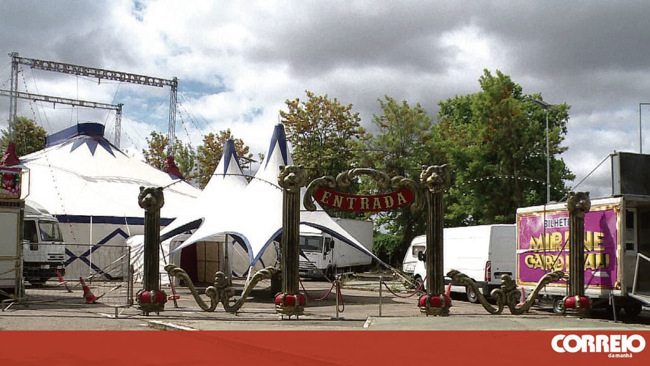 Circus owner stabbed during robbery at ticket office in Ferreira do Alentejo