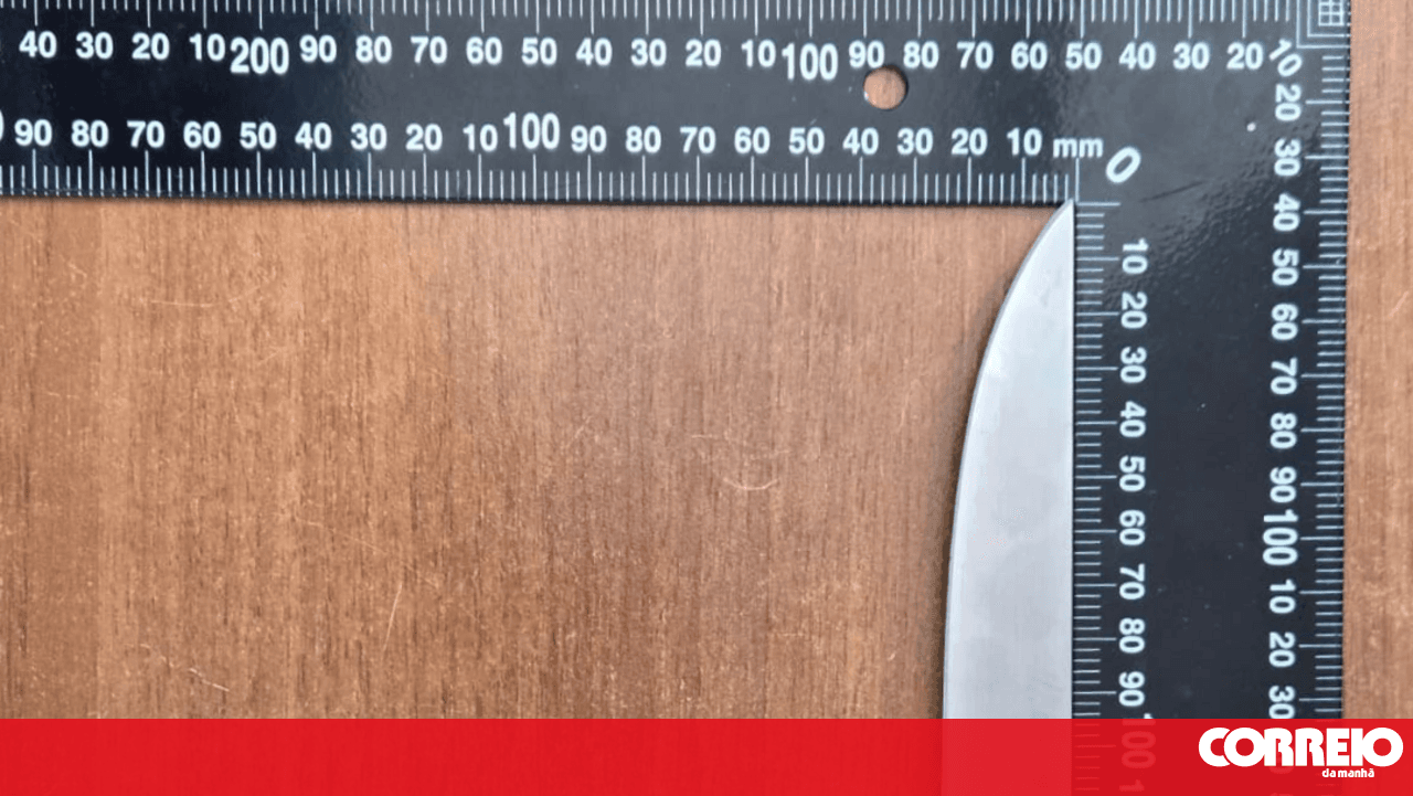 Minor brings 29-centimetre knife to school to defend himself from classmate