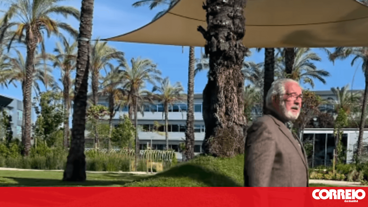 "Biological brushcutters": Isaltino Morais walks a goat through Oeiras and criticises Infraestruturas de Portugal