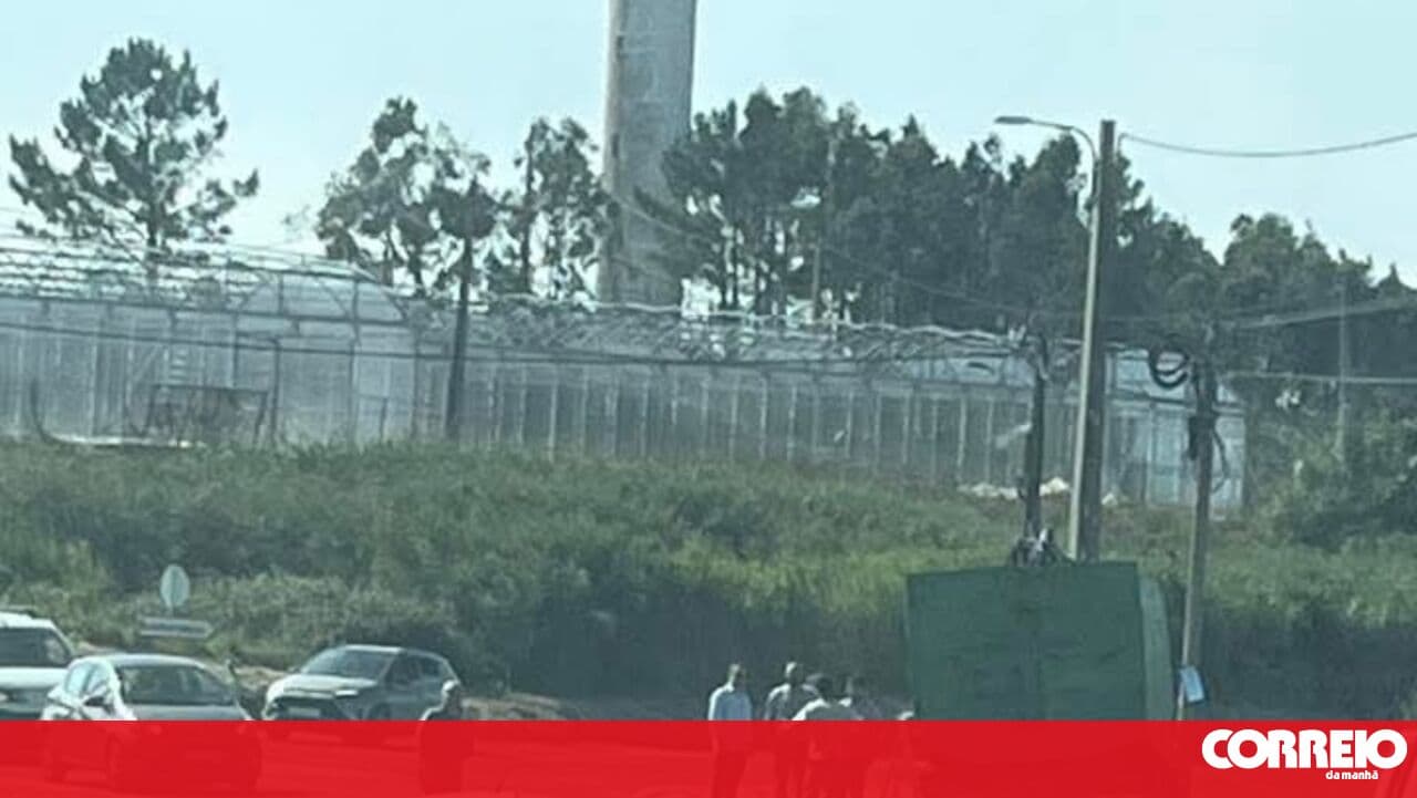 Young woman dies in collision between truck and car in Torres Vedras