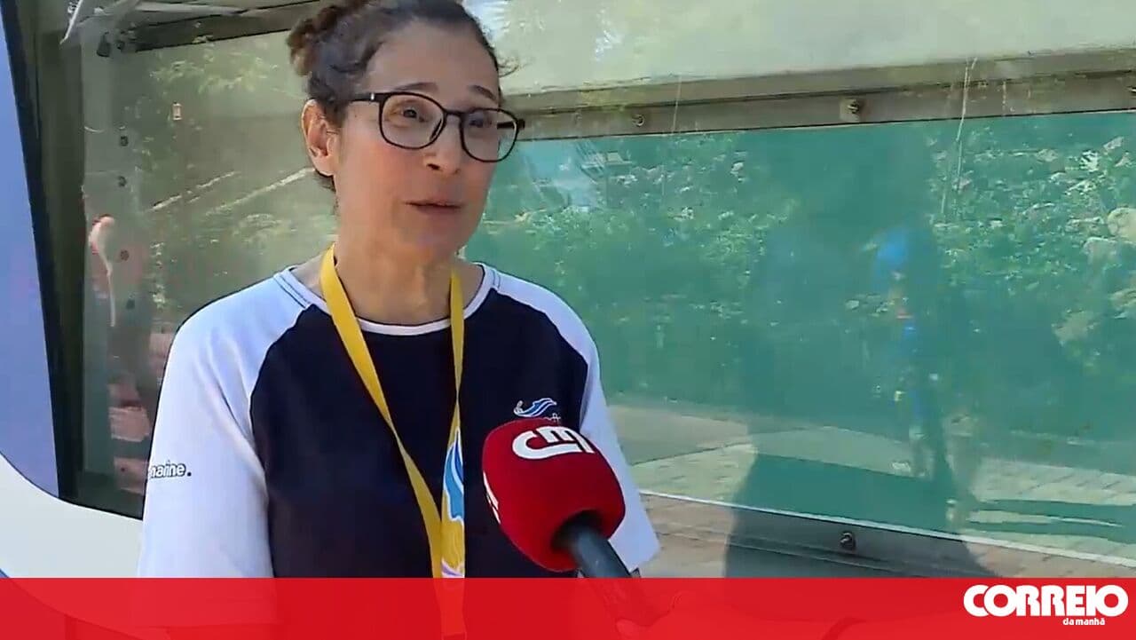 “Molly is our new guest”: Turtle welcomed at the Zoomarine animal rehabilitation centre in Albufeira
