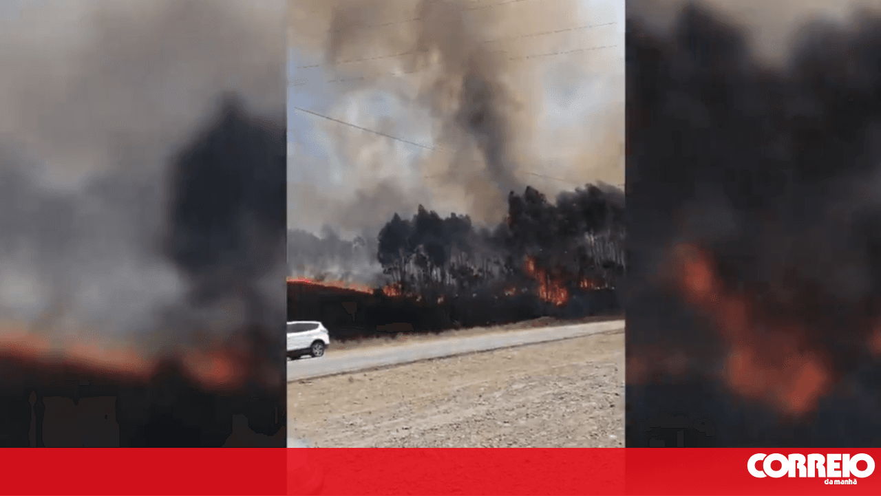 Five aerial assets and over 150 personnel fight fire in Alfena
