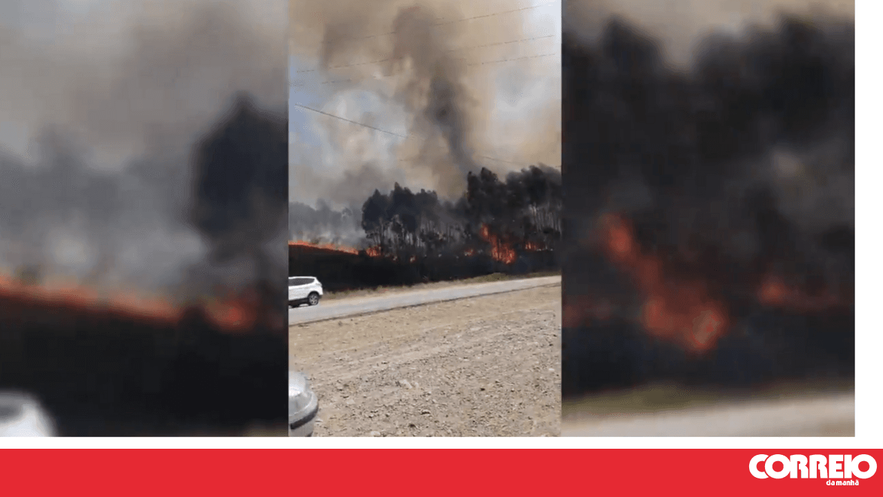 Emergency teams battle wildfire in Valongo