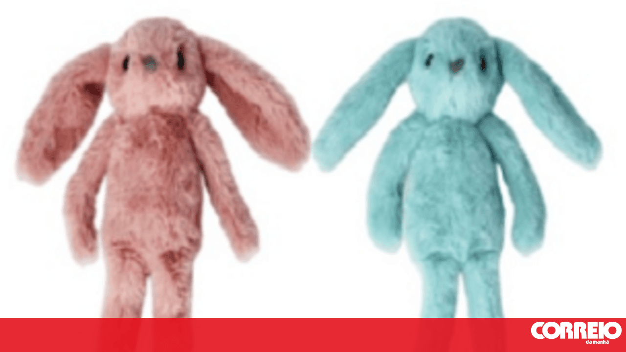 Authority warns of urgent recall of Flying Tiger rabbit-shaped plush toys due to high choking hazard