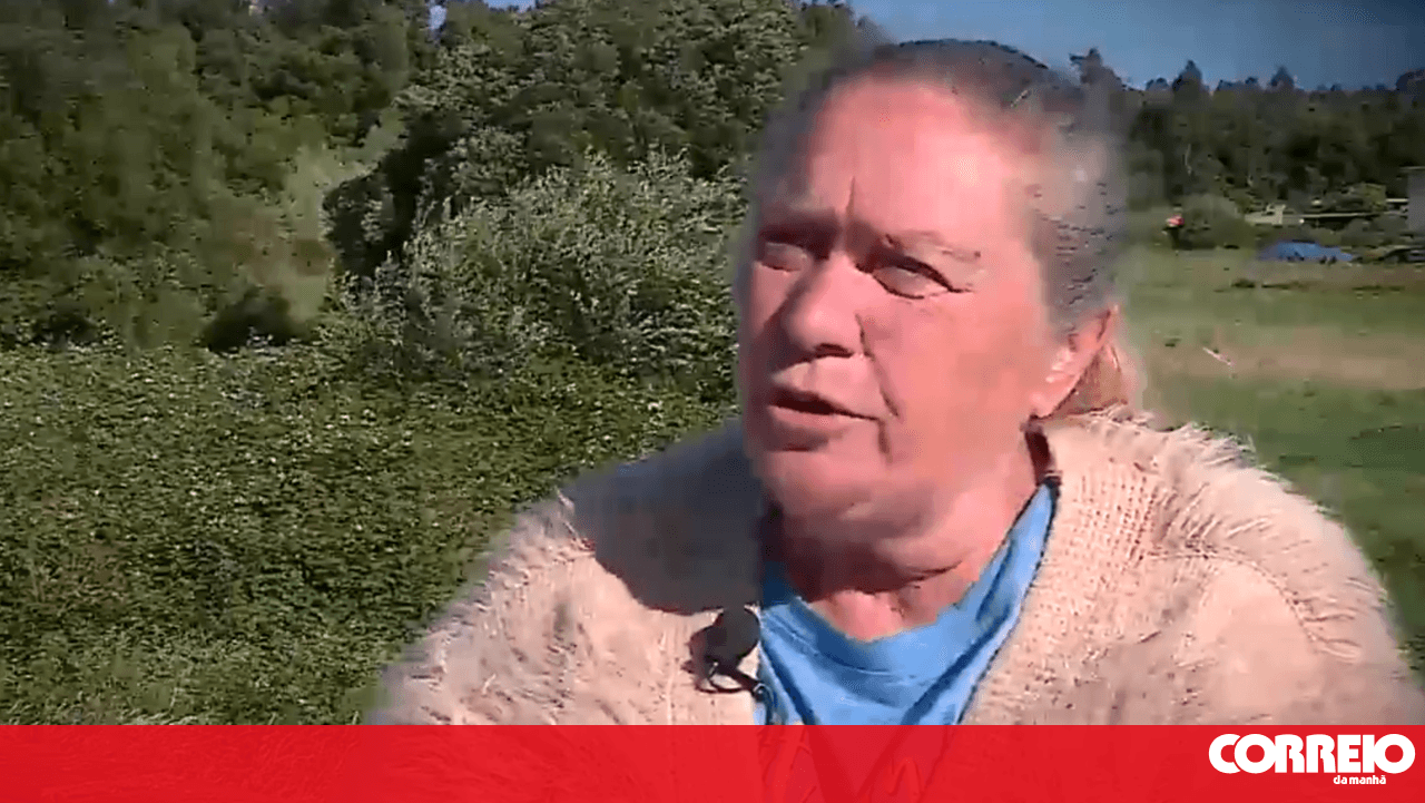 Mónica Silva's aunt continues to maintain that Fernando Valente is responsible for her niece's disappearance