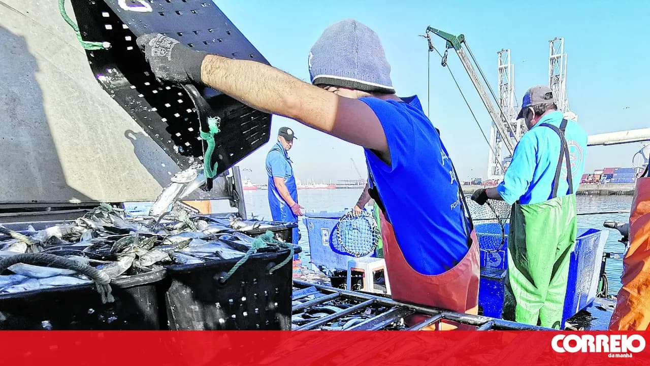 Scenario of idle boats