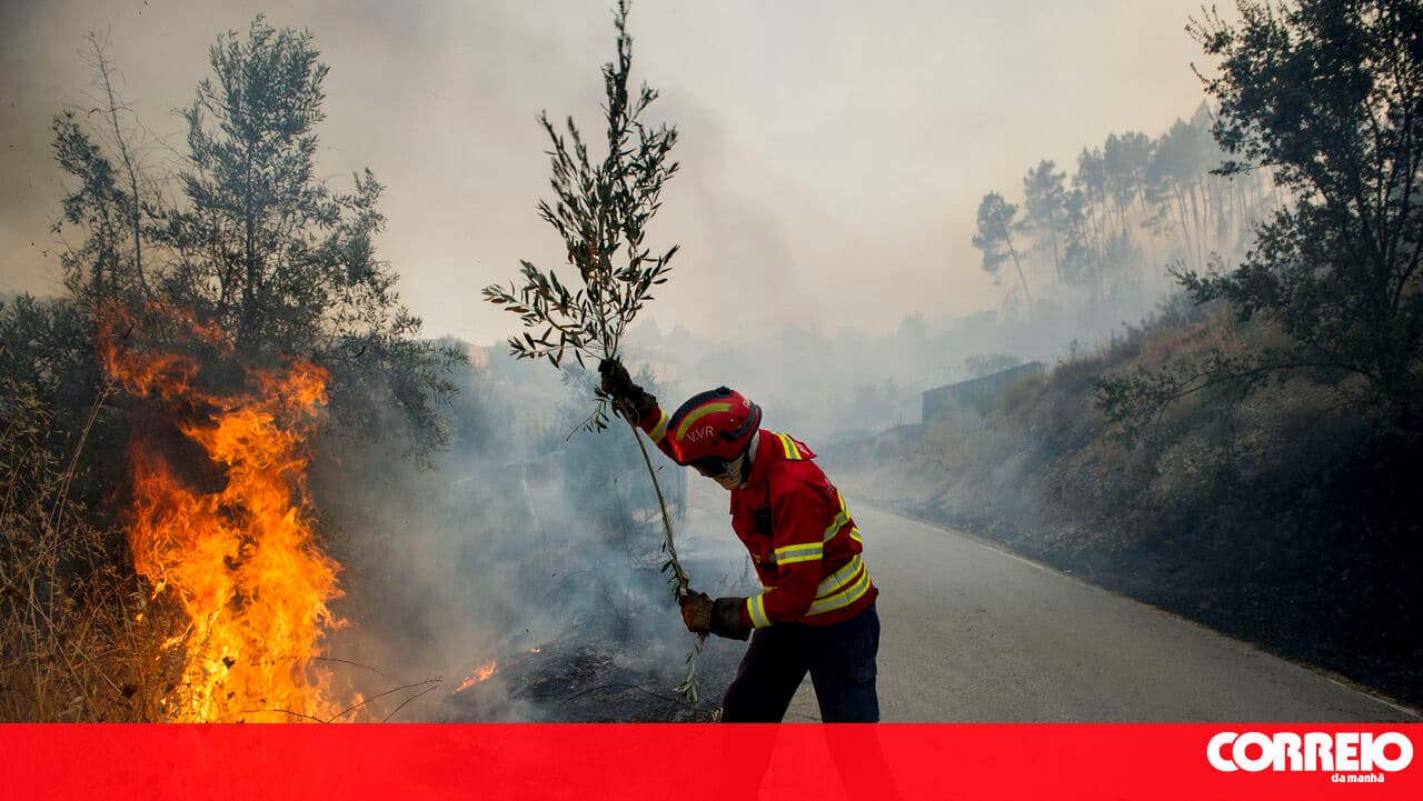 Portugal fails to reform fire management following 2017 tragedy