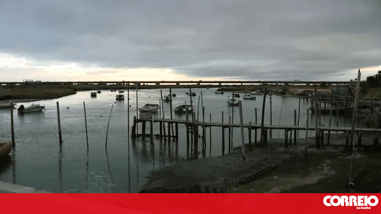 Fewer gatherers and more control: The new reality of illegal clam harvesting in Samouco