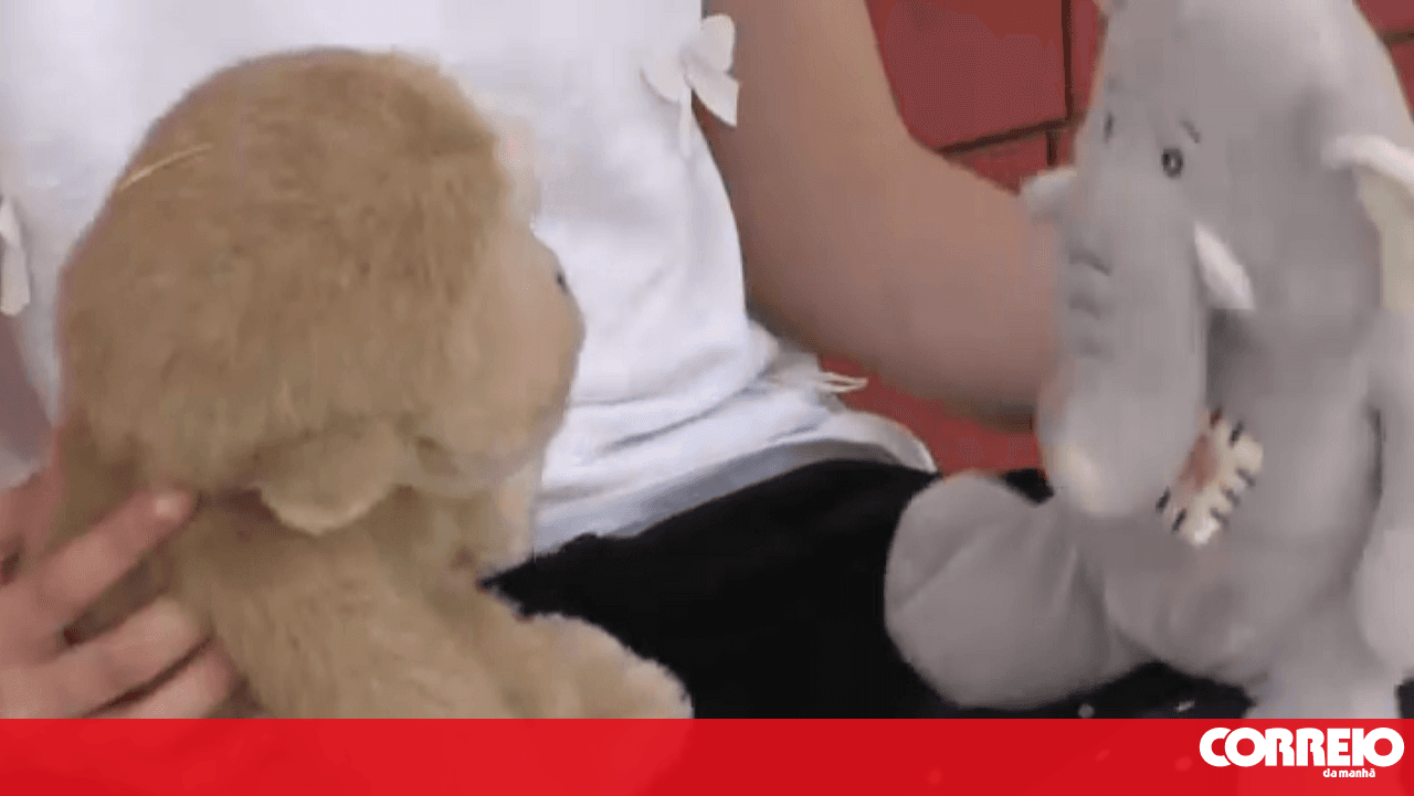 Public Prosecutor's Office accuses aunt of 123 counts of sexual abuse of two nephews in Vila Verde