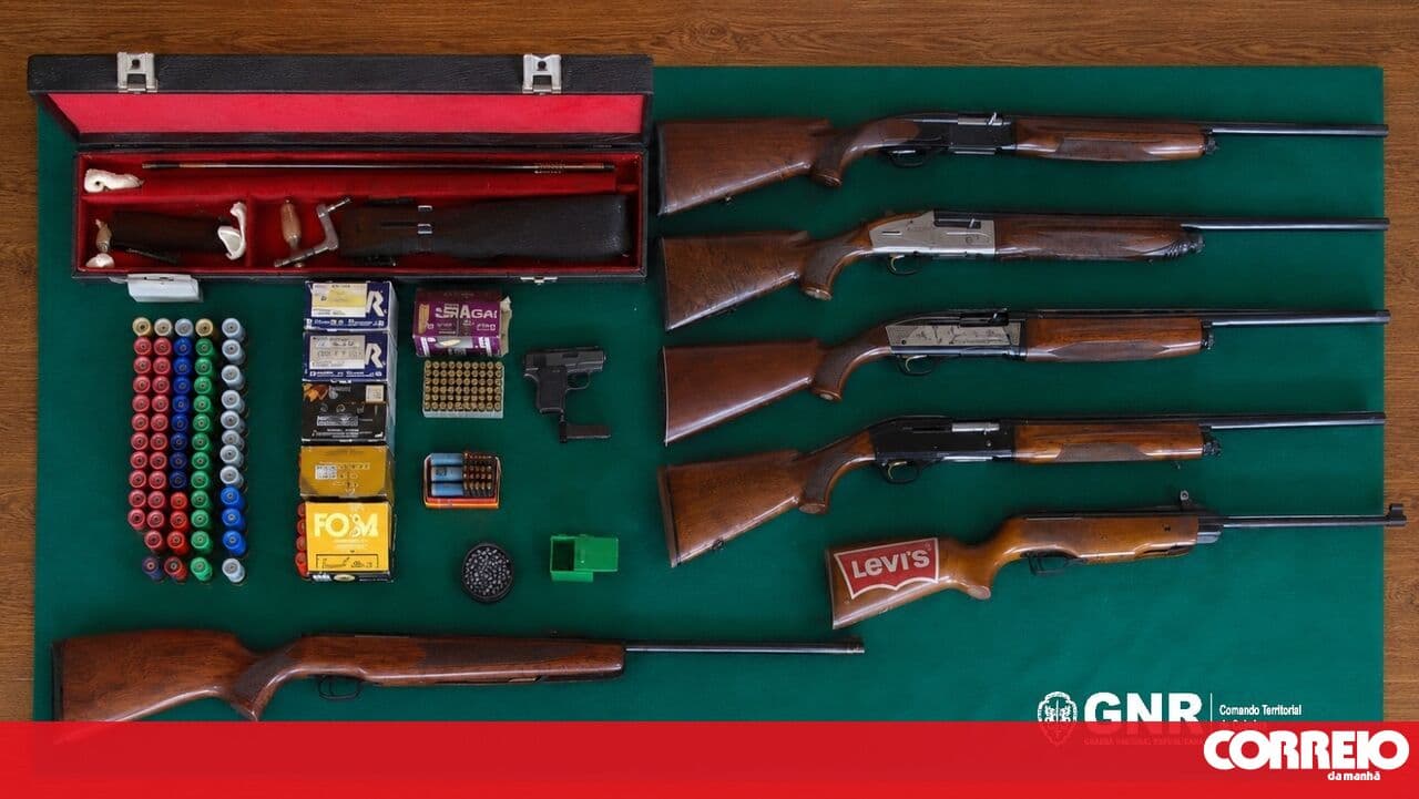 Cat shot dead leads GNR to seize several firearms