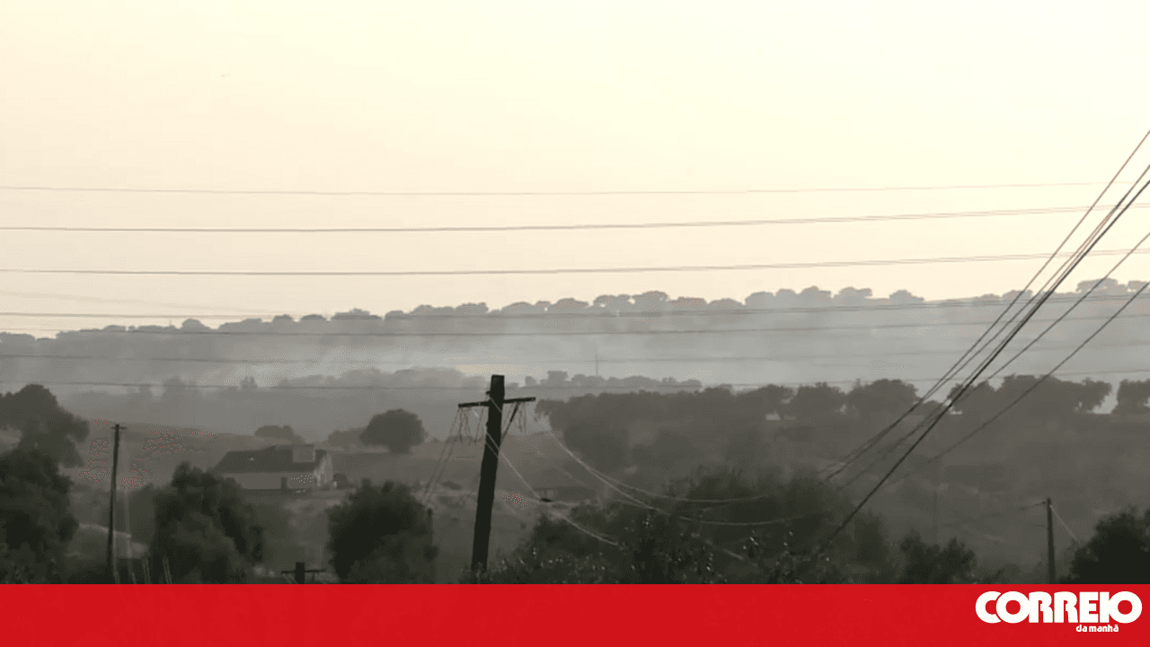 Seven aerial assets fight fire in Beja