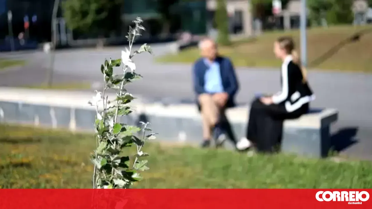 “That is priceless”: relatives of residents who died due to Covid-19 at the Lar do Comércio demand justice