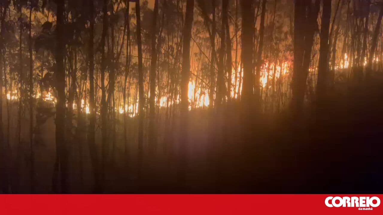 Images show fire front that threatened houses in Santo Tirso overnight