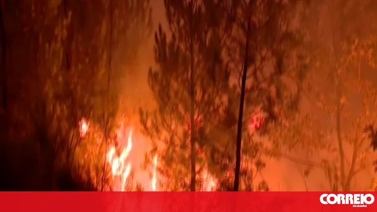 Fire in Sabugal brought under control after mobilising eleven aerial assets and over 300 personnel