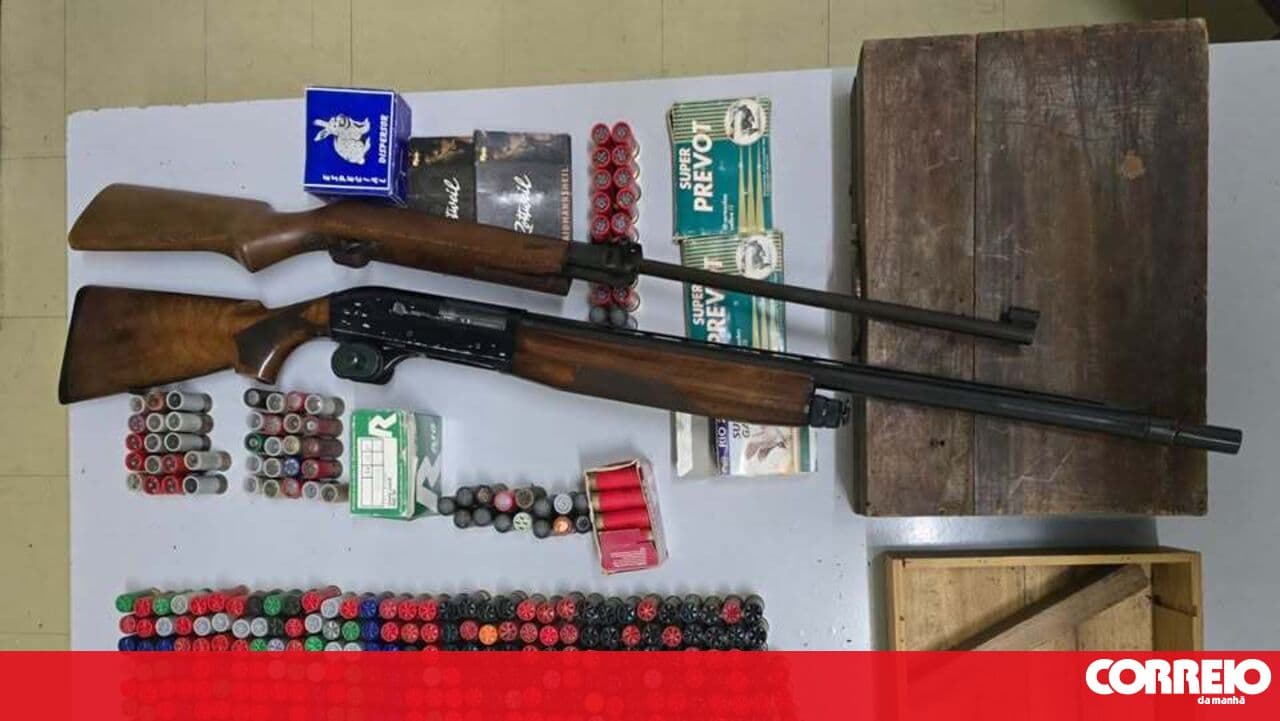 GNR seizes weapons from aggressor in Vieira do Minho