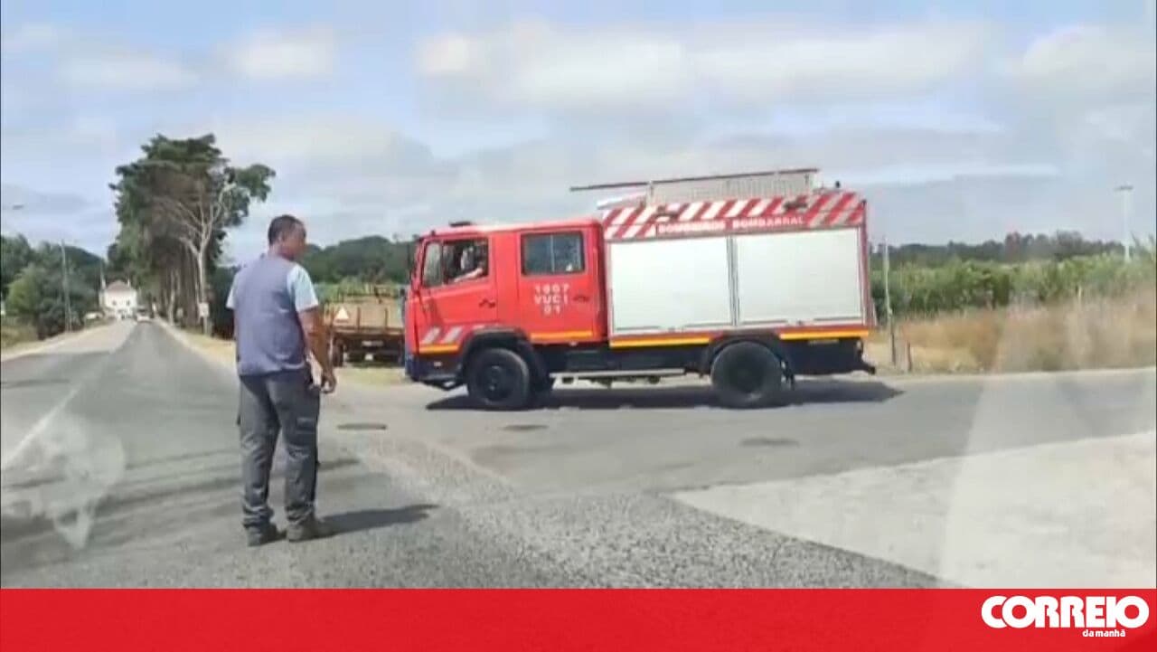 Gas leak intoxicates employees at a fruit and vegetable company in Bombarral