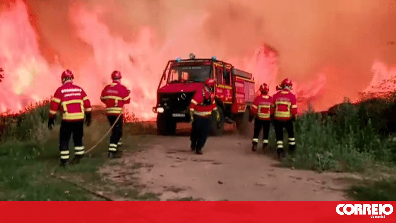 Fire that broke out in Vouzela leaves a trail of destruction: 15 thousand hectares burned and millions in losses