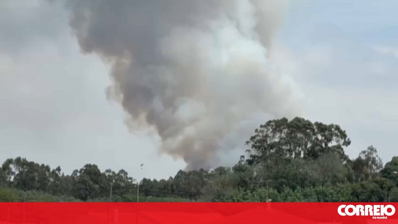 Forest fire that mobilised two aerial assets in Ovar is now under control