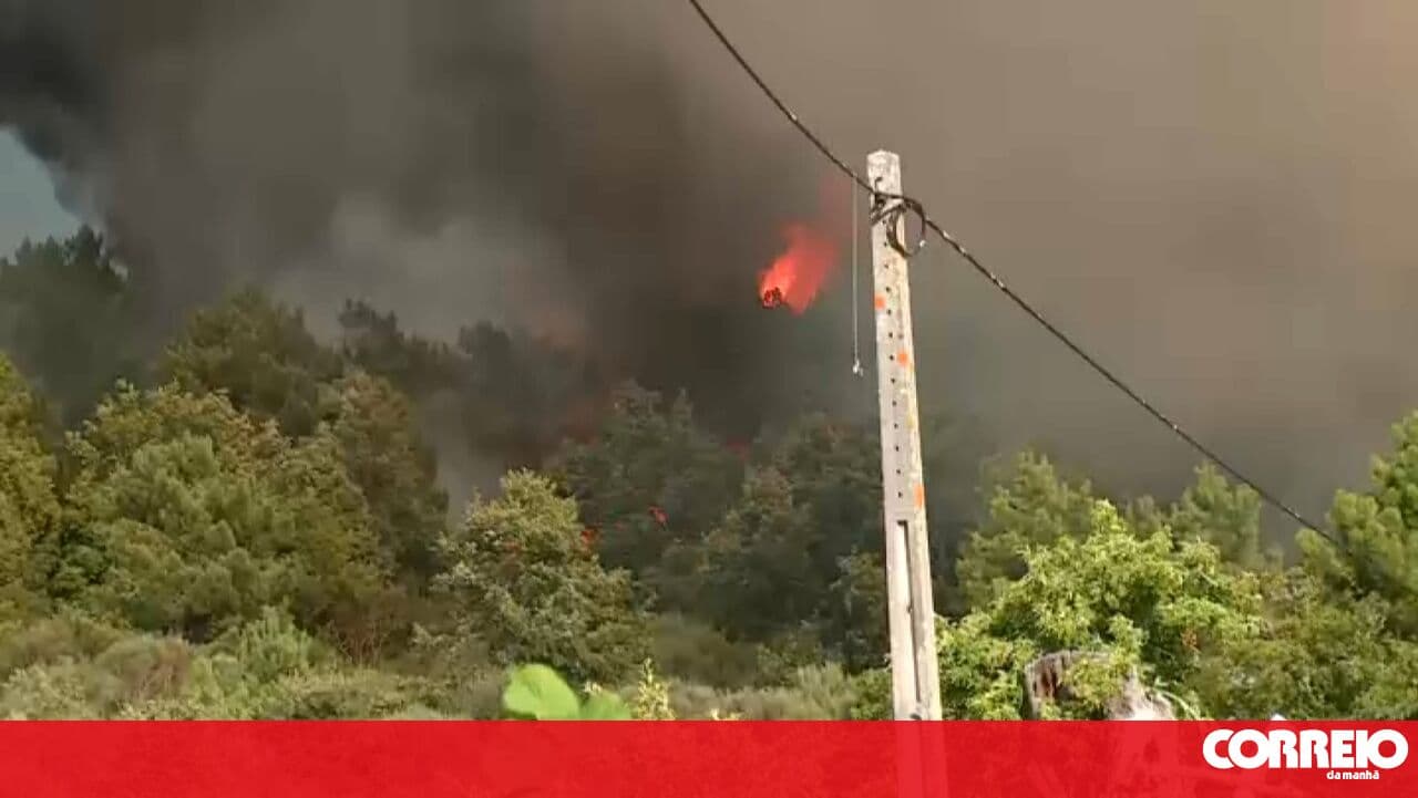 Six aerial assets and over 200 personnel fight flames in Alijó, Vila Real